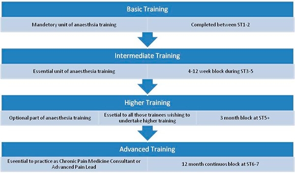 Diagram of levels of pain training