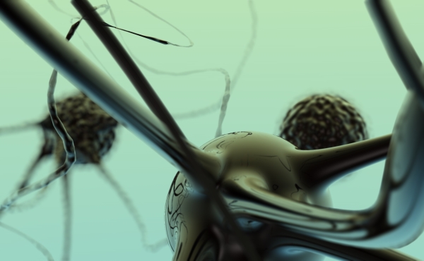 Neurones